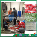 China Food Freeze Dryer Sale, Vacuum Food Processing Freeze Dryers Equipment For Sale